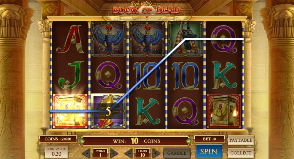 De 5 bedste licenserede casinoer til Book of Dead
