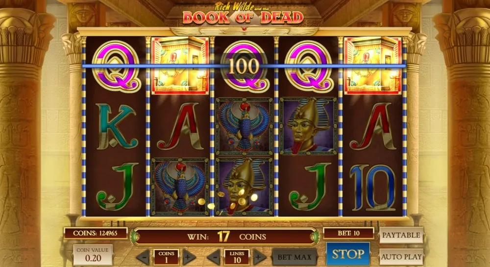 Spillemaskinens Bonusfunktioner